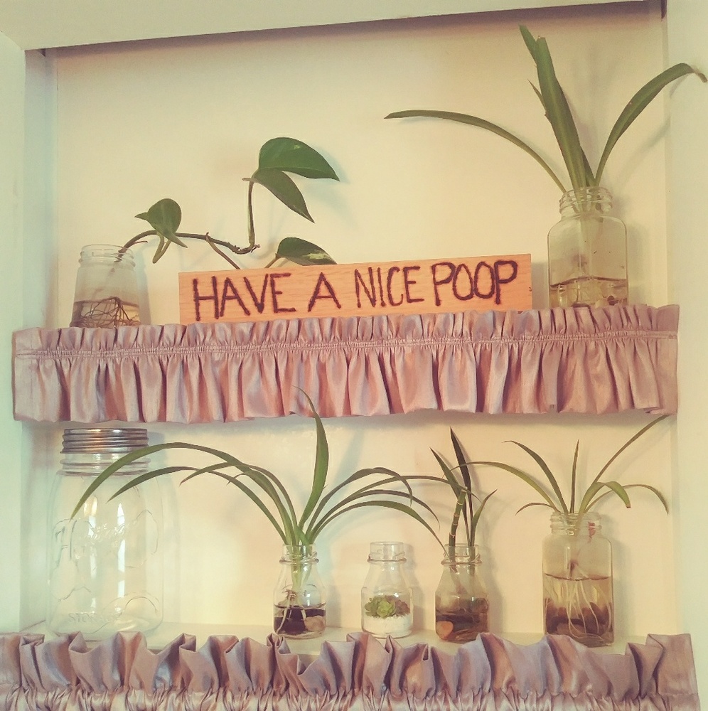 3 Baby Spider Plants With Roots